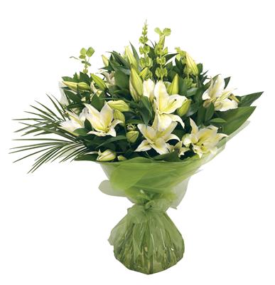 Sumptuous white Lily