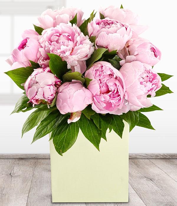 Perfect Peonies*