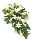 Spray Lilies White & Green
