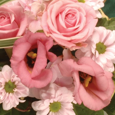 Wreath Leaf Edging Pink and Green